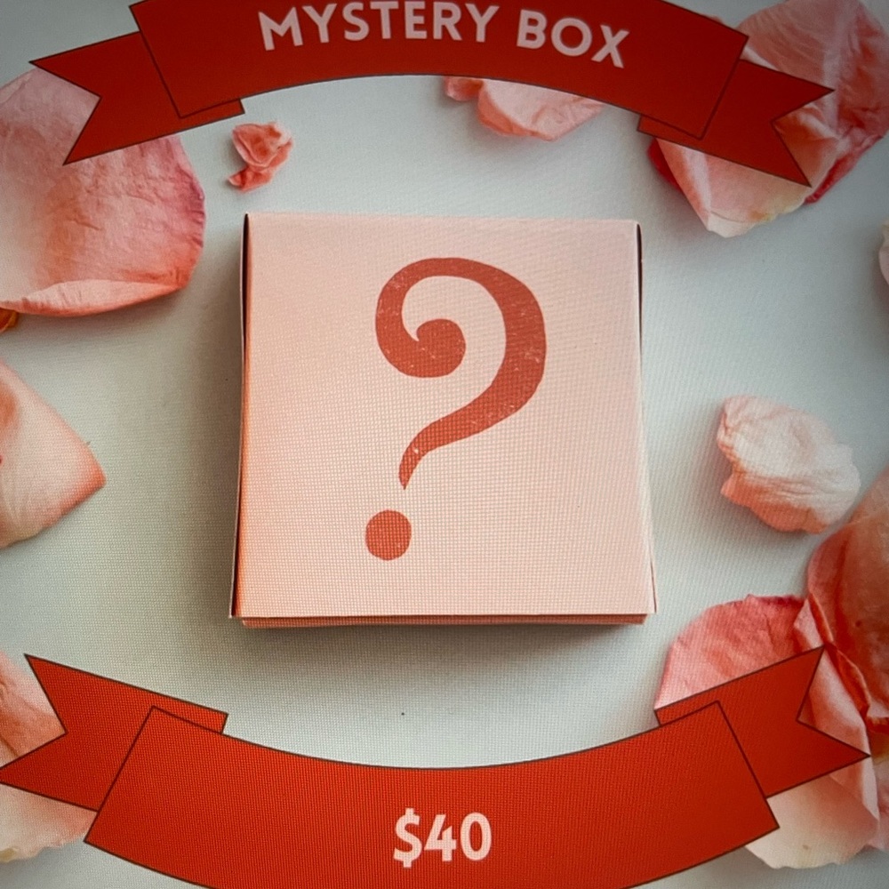 COPY - Mystery box Includes NWT and NWOT Item’s